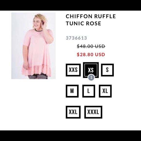 Chiffon Ruffle Tunic - Picture 2 of 3